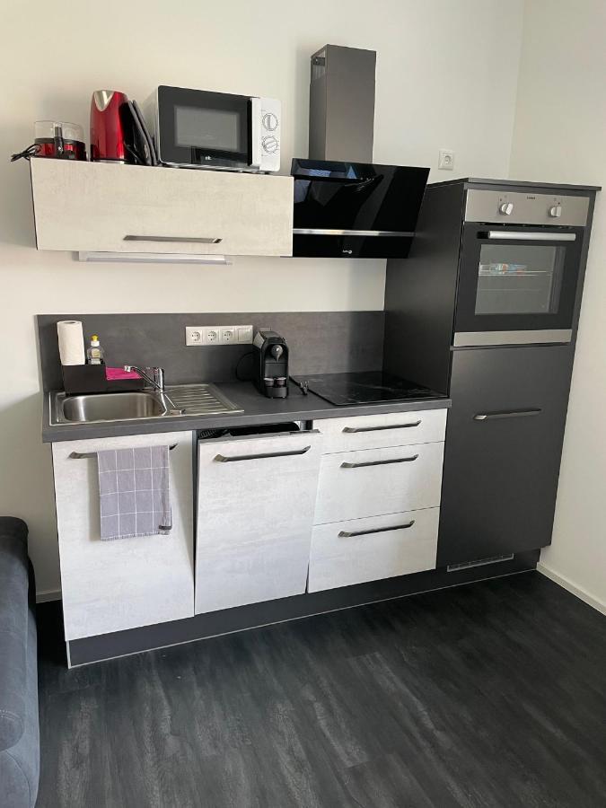 Apartments Saaldorf-Ferienhaus Mit 6 Apartments 45Qm-120Qm Direkt Am Thueringer Meer-Bleilochtalsperre Bad Lobenstein Esterno foto