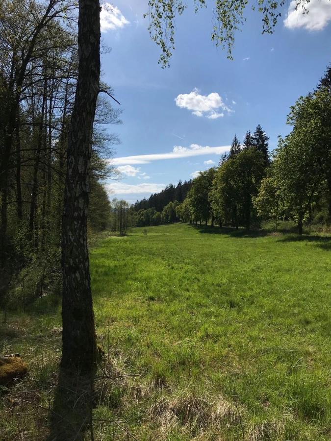 Apartments Saaldorf-Ferienhaus Mit 6 Apartments 45Qm-120Qm Direkt Am Thueringer Meer-Bleilochtalsperre Bad Lobenstein Esterno foto