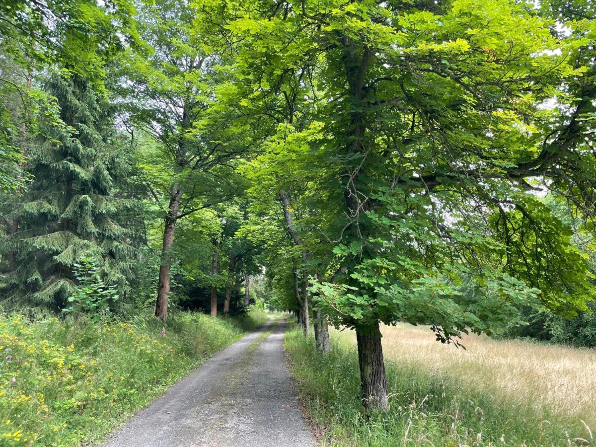 Apartments Saaldorf-Ferienhaus Mit 6 Apartments 45Qm-120Qm Direkt Am Thueringer Meer-Bleilochtalsperre Bad Lobenstein Esterno foto